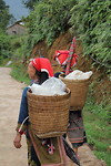 Omgeving Sapa