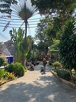 Straatje Tom pizza resort.