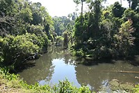 Khao Yai NP