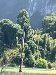 IMG_3474