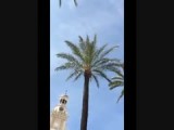 Cadiz