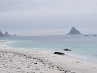 Witte stranden