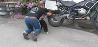 Gerko checkt de banden