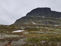 Groene rotsen