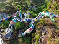 Krab  van afval uit zee