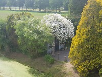 Roos in Rumpt
