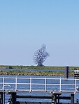 Poepende beeld