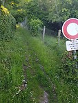 Grapje off the road