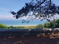 IMG-20210615-WA0024