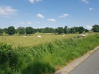 IMG-20210616-WA0030