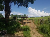IMG-20210616-WA0019