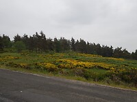 IMG-20210617-WA0013