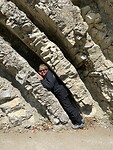 IMG-20210618-WA0014