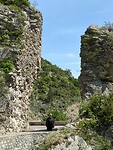 IMG-20210618-WA0013