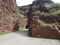 IMG-20210619-WA0037