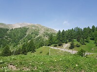 IMG-20210619-WA0020