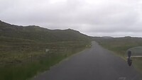 Schapen langs de weg in Ierland