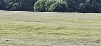 20230615_094730