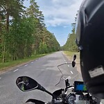 Onderweg in Estland