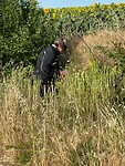 IMG-20250622-WA0012