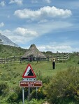 IMG-20260530-WA0013