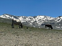 IMG-20260604-WA0017