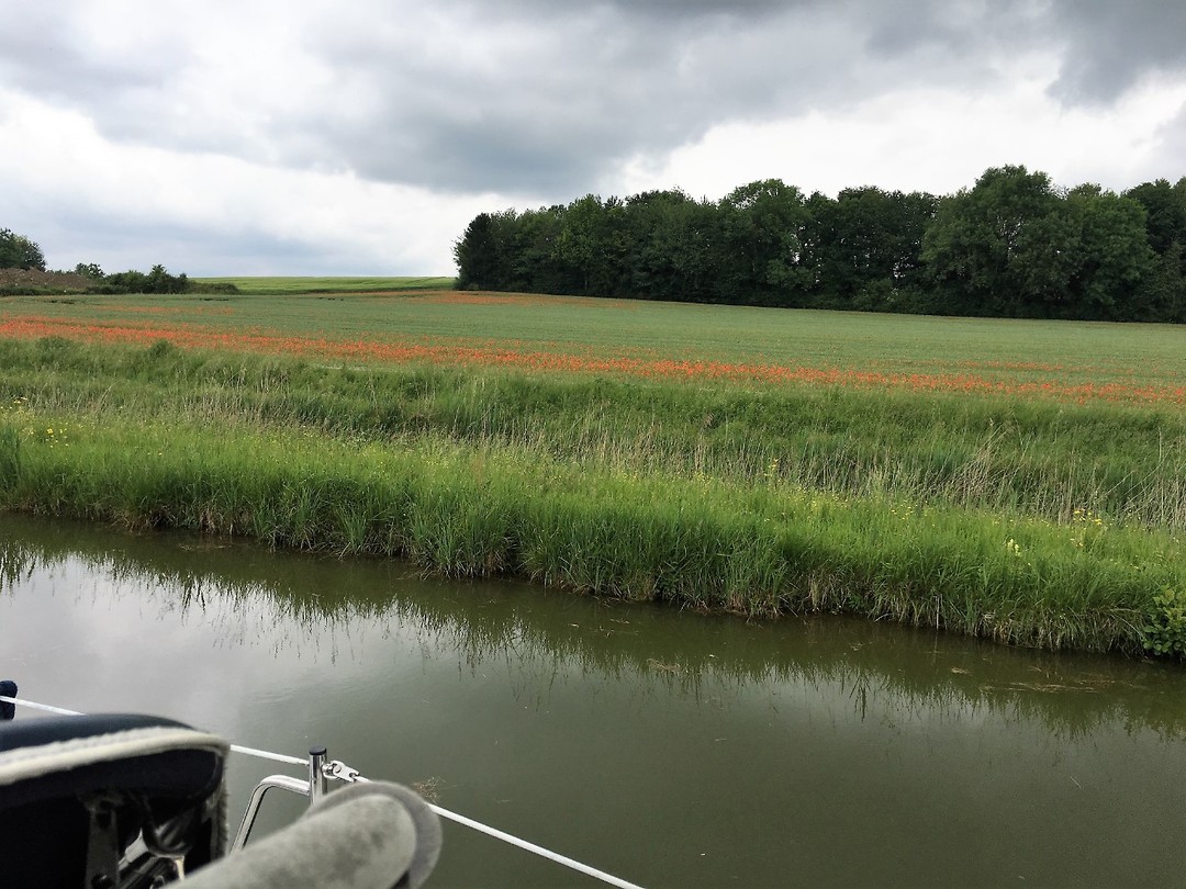 Klaprozen onderweg