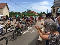 tour de France: het peleton