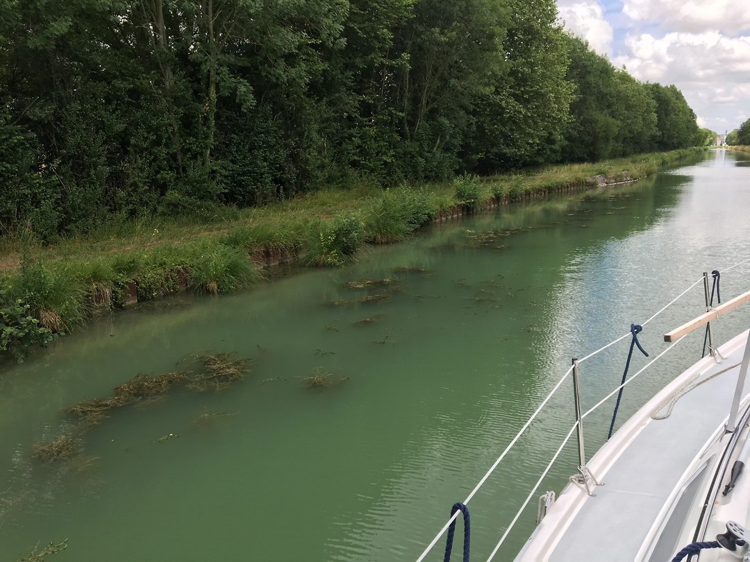 de vele warerplanten onderweg betekent ook dat het "wierpotje" moet worden geleegd (tbv koelwater)