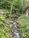 Foto wandeling