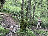 Foto wandeling