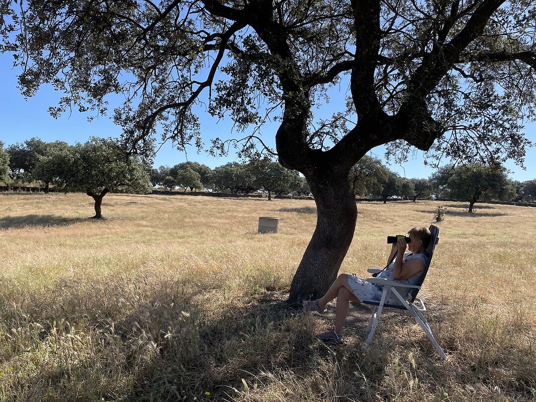 Dag 13