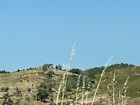 IMG_5638
