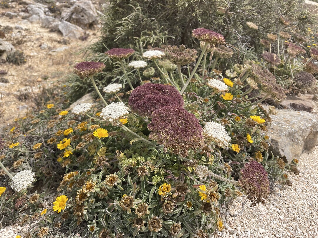 Dag 20