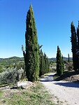 IMG_20200905_170030