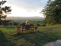 IMG_1289