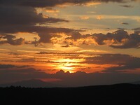 IMG_1300