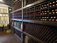 IMG_20200923_154830