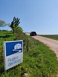 IMG-20220509-WA0001