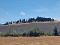 20220810_150633