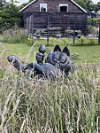 IMG_4924