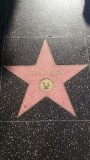 Hollywood Walk of Fame