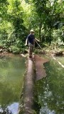 Op jungletoer