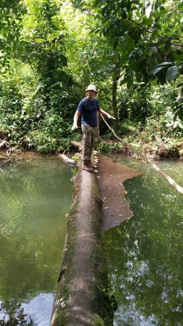Op jungletoer