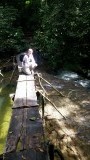 Op jungletoer