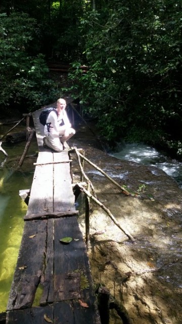 Op jungletoer