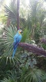 En een mooie blauwe