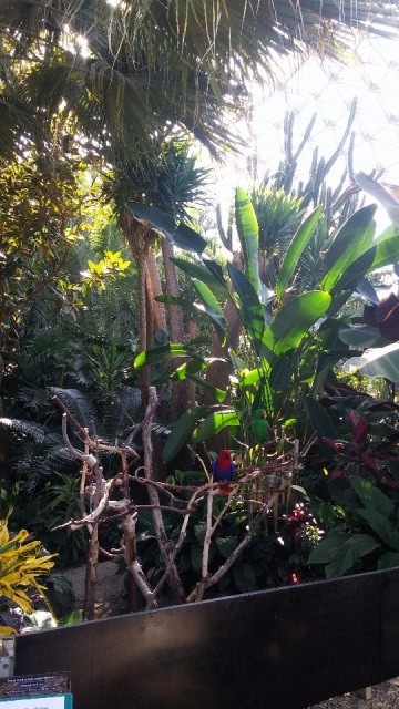 In de botanische tuin van Queen Elizabeth Park