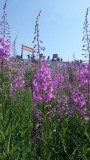 Mooie natuur hier