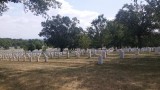Arlington Cemetery